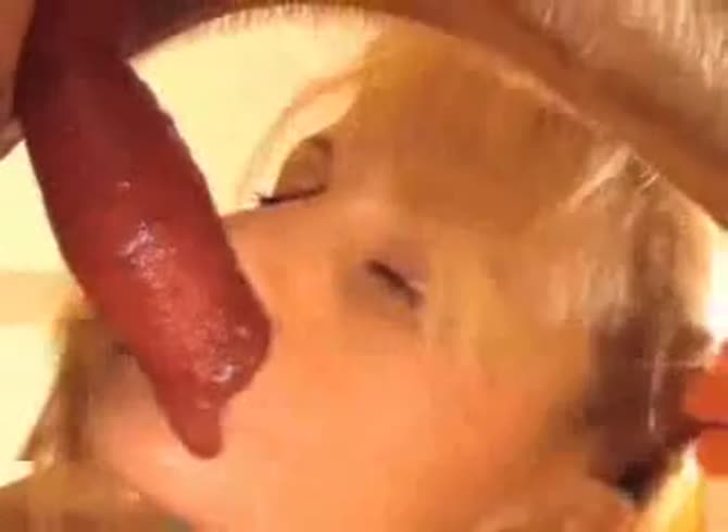 Video :Hot blonde teen beastiality lover sucking dog dick